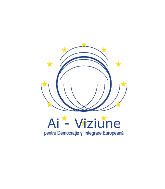 Echipa AI-Viziune